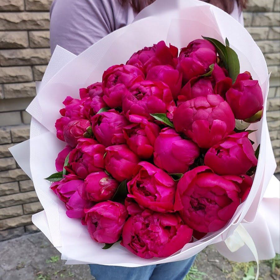 25 шт Малиновых пионов